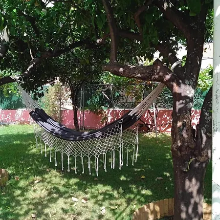 Lejlighed Octopus Garden, Poros-kefalonia *